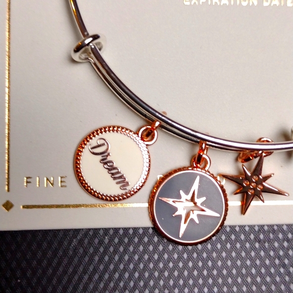 Fine Silver Plated Dream Charm adjustable bracelet - Picture 2 of 7